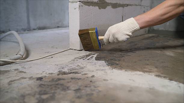 SJ Waterproofing Pros Exterior Waterproofing coverage map for Willowbrook, IL and surrounding area